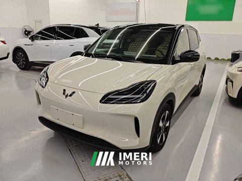 2024 Wuling Binguo PLUS 330km 5-Seater - ავტომობილი ჩინეთიდან