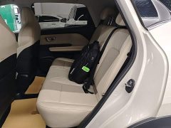 Wuling Binguo PLUS 330km 5-Seater - ფოტო 16