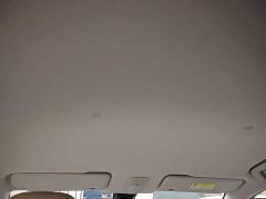 Wuling Binguo PLUS 330km 5-Seater - ფოტო 17