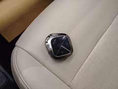Wuling Binguo PLUS 330km 5-Seater - ფოტო 8