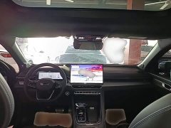 Geely Xingrui 2026 Oriental Radiance 2.0T Diesel Moonlight Edition - ფოტო 9