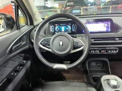 ORA Good Cat 400km Standard Range Venus Edition Ternary Lithium Battery - ფოტო 10