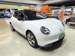 ORA Good Cat 400km Standard Range Venus Edition Ternary Lithium Battery - ფოტო 3