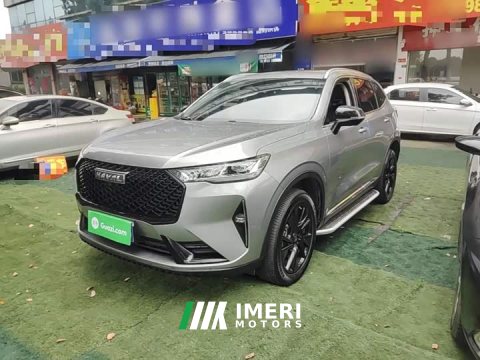 2021 Haval H6 Third Generation 2.0T Automatic Two-Wheel Drive Max - ავტომობილი ჩინეთიდან
