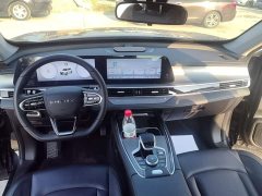 Chery Tiguan 8 PLUS Champion Edition 290TGDI DCT Haoqing Edition 5-Seat - ფოტო 9
