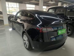 Tesla Model Y Rear-Wheel Drive - ფოტო 2
