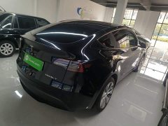 Tesla Model Y Rear-Wheel Drive - ფოტო 4