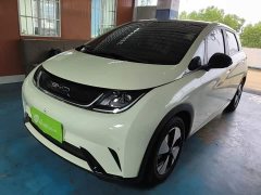 BYD Dolphin 2023 420km Fashion Edition - ფოტო 1