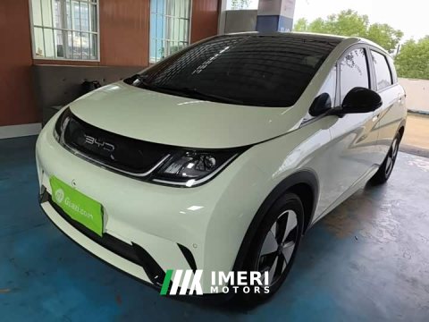 2024 BYD Dolphin 2023 420km Fashion Edition - ავტომობილი ჩინეთიდან