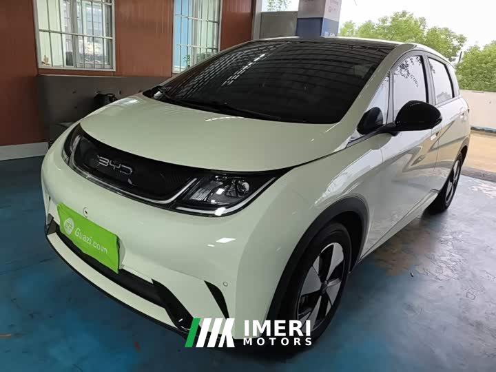 BYD Dolphin 420km Fashion Edition