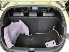 BYD Dolphin 2023 420km Fashion Edition - ფოტო 18