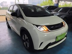 BYD Dolphin 2023 420km Fashion Edition - ფოტო 3