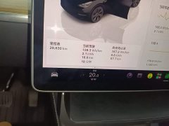 Tesla Model Y Rear-Wheel Drive - ფოტო 11