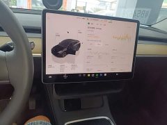 Tesla Model Y Rear-Wheel Drive - ფოტო 12