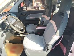 Wuling Hongguang MINIEV 2021 Macaron Fashion Edition LFP Battery - ფოტო 14