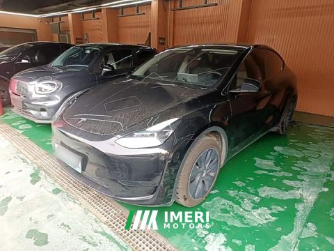 2024 Tesla Model Y Rear-Wheel Drive - ავტომობილი ჩინეთიდან