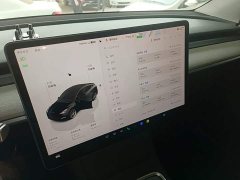 Tesla Model Y Rear-Wheel Drive - ფოტო 12