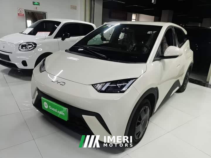 BYD Seagull 305km Vitality Edition - ავტომობილი ჩინეთიდან