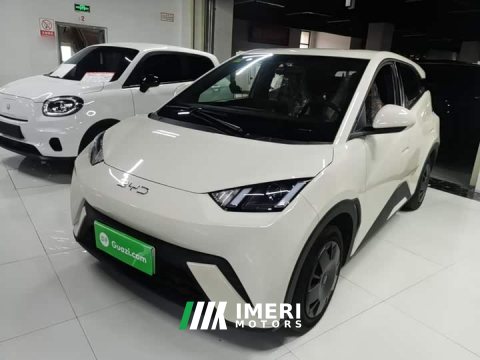 2025 BYD Seagull 305km Vitality Edition - ავტომობილი ჩინეთიდან