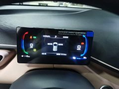 BYD Seagull 305km Vitality Edition - ფოტო 11