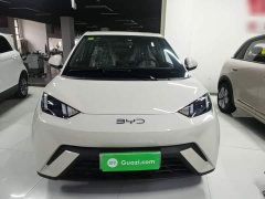 BYD Seagull 305km Vitality Edition - ფოტო 2