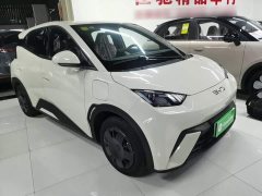 BYD Seagull 305km Vitality Edition - ფოტო 3