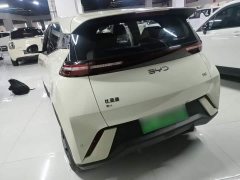BYD Seagull 305km Vitality Edition - ფოტო 4