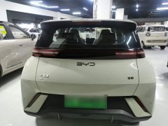 BYD Seagull 305km Vitality Edition - ფოტო 5