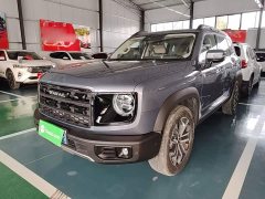 Great Wall Dachshund 2026 1.5T DCT Border Collie Edition - ფოტო 1