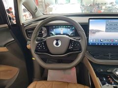 Denza BYD Denza D9 2022 EV 600 AWD Prestige - ფოტო 10