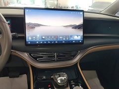 Denza BYD Denza D9 2022 EV 600 AWD Prestige - ფოტო 12