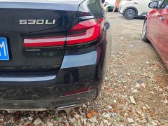 BMW 5 Series Facelift 530Li Premier Luxury Package - ფოტო 14