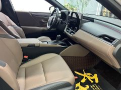 Lexus ES 300h Premium Edition - ფოტო 14