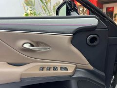 Lexus ES 300h Premium Edition - ფოტო 7