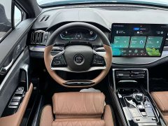 BYD Tang New Energy 2021 DM-i 112KM Premium Edition - ფოტო 13