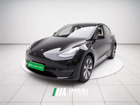 2021 Tesla Model Y Long Range All-Wheel Drive 3D7 - ავტომობილი ჩინეთიდან