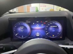 FAW Red Flag HS3 2024 1.5T Shanwei Edition - ფოტო 12