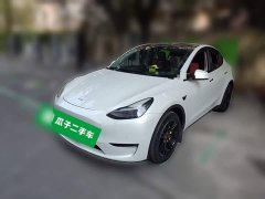 Tesla Model Y Long Range All-Wheel Drive 3D7 - ფოტო 1