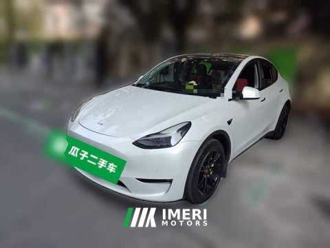2021 Tesla Model Y Long Range All-Wheel Drive 3D7 - ავტომობილი ჩინეთიდან