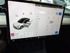 Tesla Model Y Long Range All-Wheel Drive 3D7 - ფოტო 12
