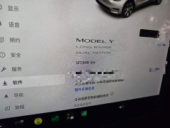 Tesla Model Y Long Range All-Wheel Drive 3D7 - ფოტო 13