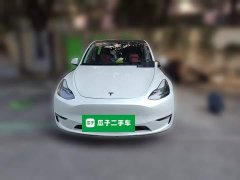 Tesla Model Y Long Range All-Wheel Drive 3D7 - ფოტო 2