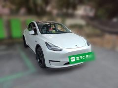 Tesla Model Y Long Range All-Wheel Drive 3D7 - ფოტო 3
