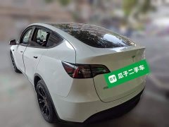 Tesla Model Y Long Range All-Wheel Drive 3D7 - ფოტო 4