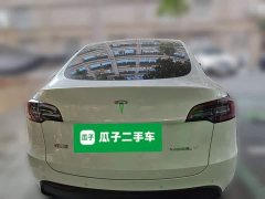 Tesla Model Y Long Range All-Wheel Drive 3D7 - ფოტო 5