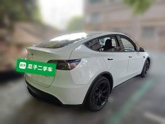 Tesla Model Y Long Range All-Wheel Drive 3D7 - ფოტო 6