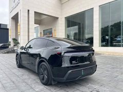 Tesla Model Y Rear-Wheel Drive - ფოტო 3