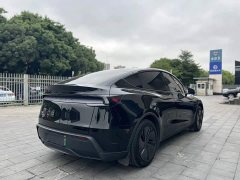 Tesla Model Y Rear-Wheel Drive - ფოტო 8