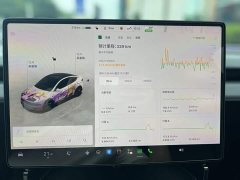 Tesla Model Y Rear-Wheel Drive - ფოტო 9