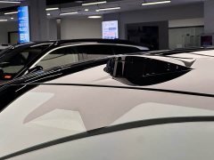 Zeekr 001 YOU Edition 100kWh AWD - ფოტო 8